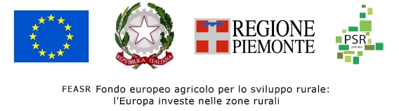 feasr
