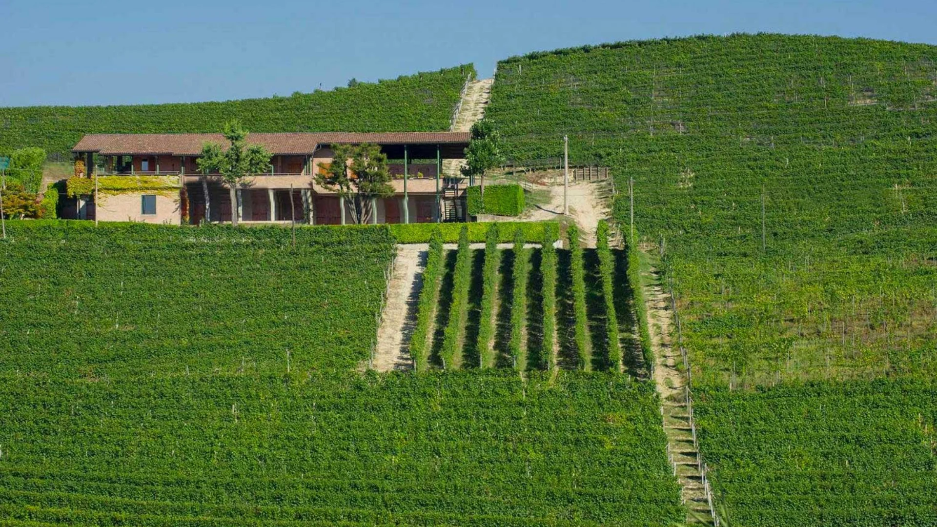 Tenuta<br><em>Bricco Asili</em>
