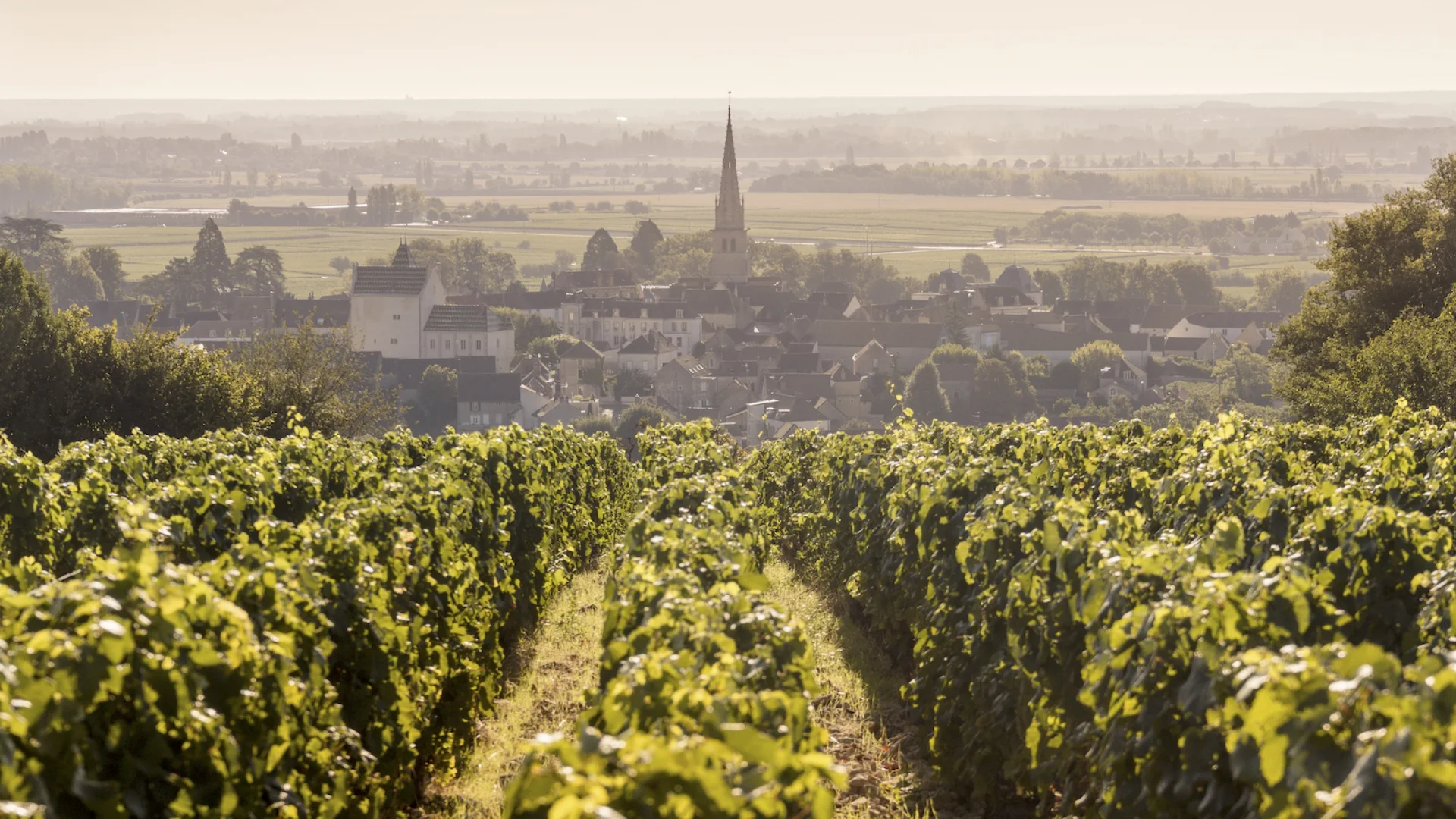 Ceretto <em>Terroirs</em>