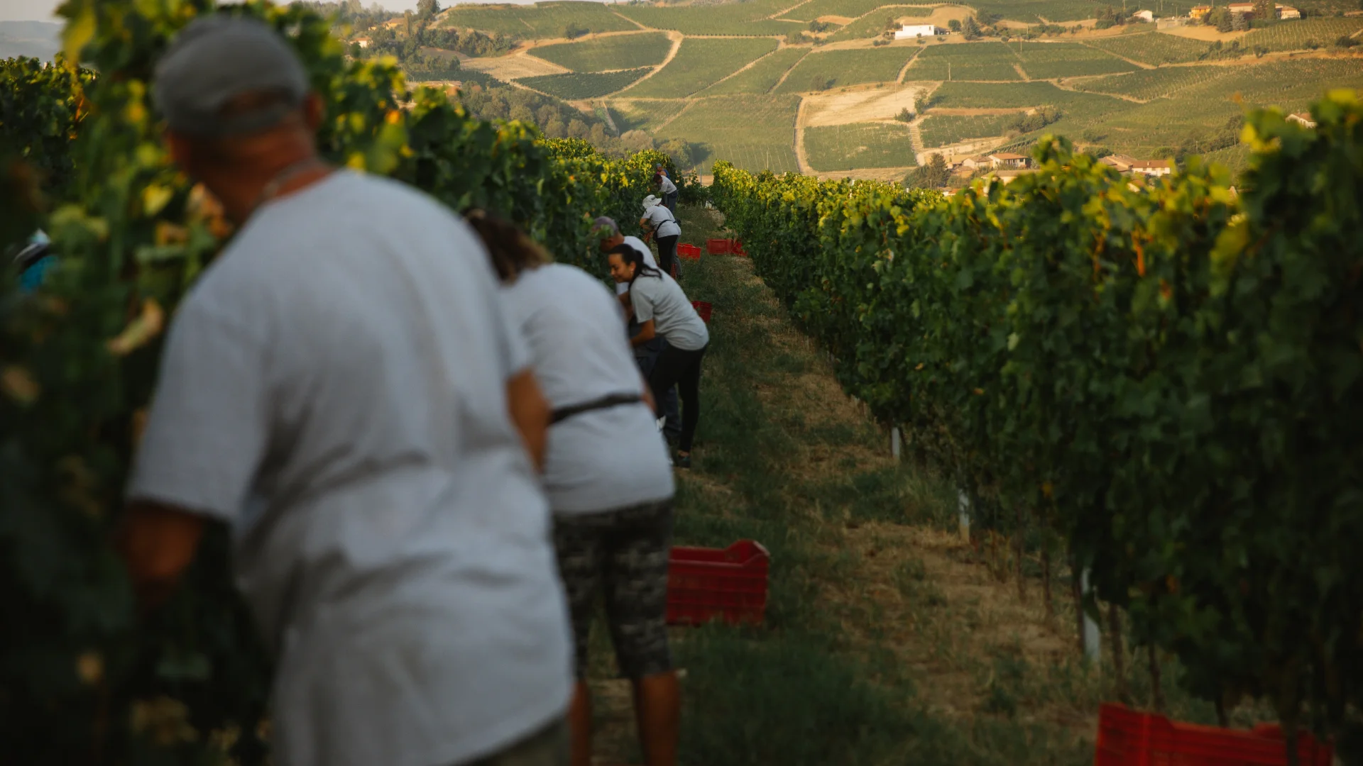 I Vignaioli<br><em>di Santo Stefano</em>