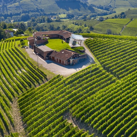 Cantina Bricco Rocche