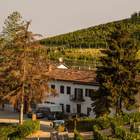 I Vignaioli di Santo Stefano