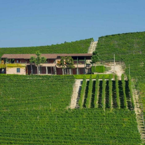 Cantina Bricco Asili