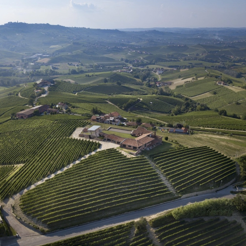 Il cru Bricco Rocche