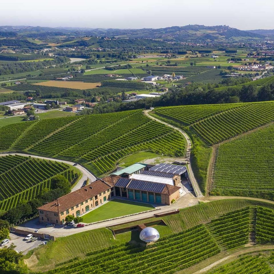 Vigneti che parlano di territorio